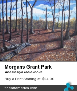 Morgans Grant Park by Anastasiya Malakhova - acrylic on canvas