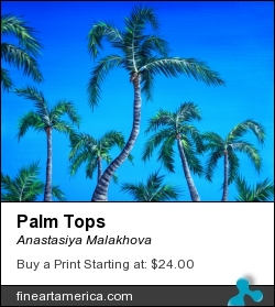 Palm Tops by Anastasiya Malakhova - acrylic on canvas
