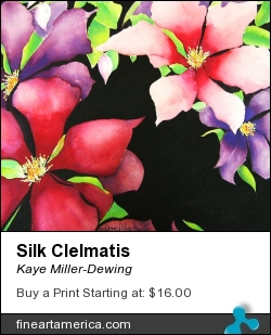 Silk Clelmatis by Kaye Miller-Dewing - Painting - Gouache