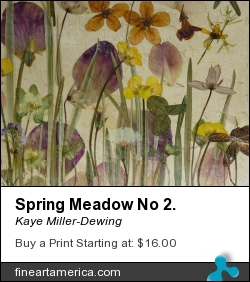 Spring Meadow No 2. by Kaye Miller-Dewing - Painting - Pressed Flowers