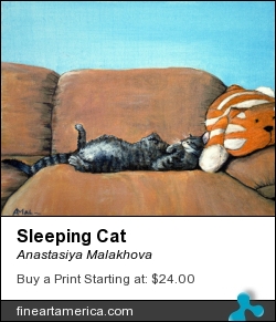 Sleeping Cat by Anastasiya Malakhova - acrylic on canvas