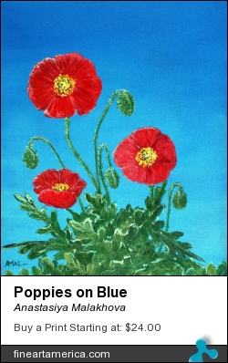 Poppies on Blue by Anastasiya Malakhova - acrylic on canvas