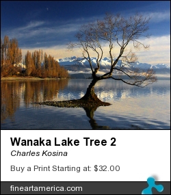 Wanaka Lake Tree 2 by Charles Kosina - Photograph - Photo