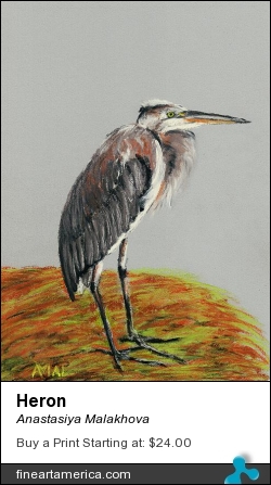 Heron by Anastasiya Malakhova - pastels on paper