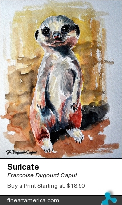 Suricate by Francoise Dugourd-Caput - Painting - Watercolor