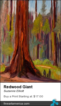 Redwood Giant by Suzanne Elliott - Painting - Oil