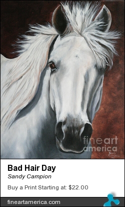 Bad Hair Day by Sandy Campion - Painting - Oil On Canvas