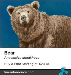 Bear by Anastasiya Malakhova - pastels on paper