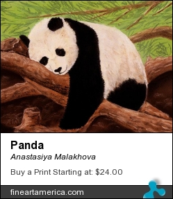 Panda by Anastasiya Malakhova - pastels on paper