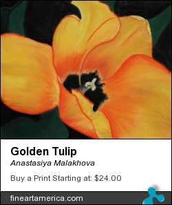 Golden Tulip by Anastasiya Malakhova - pastels on paper