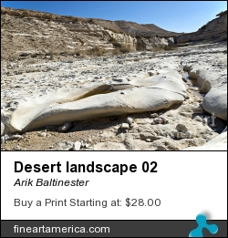 Desert Landscape 02 by Arik Baltinester - Photograph - Photo Print