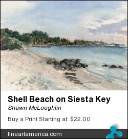 Shell Beach On Siesta Key by Shawn McLoughlin - Painting - Watercolor