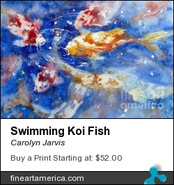 Swimming Koi Fish by Carolyn Jarvis - Painting - Watercolor