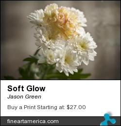 Soft Glow by Jason Green - Photograph