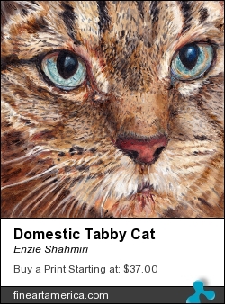 Domestic Tabby Cat by Enzie Shahmiri - Painting - Oil On Panel