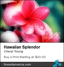 Hawaiian Splendor by Cheryl Young - Photograph - Photography,digital Art,digital Editing