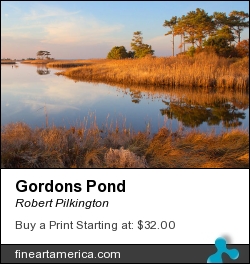 Gordons Pond by Robert Pilkington - Photograph - Photography