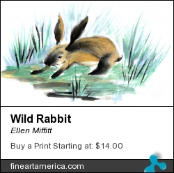 Wild Rabbit by Ellen Miffitt - Painting - Sumi-e On Sumi Paper
