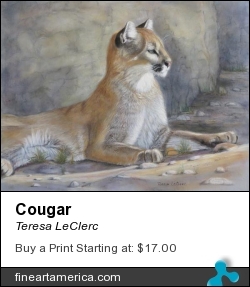 Cougar by Teresa LeClerc - Pastel