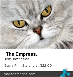The Empress. by Arik Baltinester - Photograph - Print