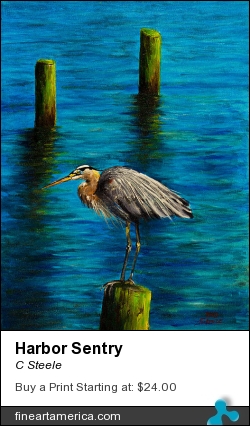 Harbor Sentry by C Steele - Painting - Oil On Canvas