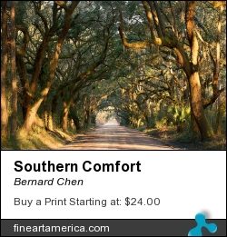 Southern Comfort by Bernard Chen - Photograph