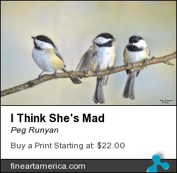 I Think She's Mad by Peg Runyan - Photograph - Digital Photography