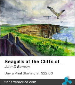 Seagulls At The Cliffs Of Moher by John D Benson - Painting - Watercolor
