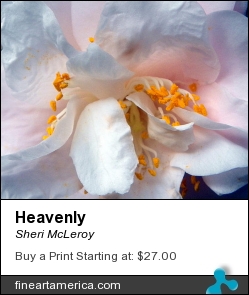 Heavenly by Sheri McLeroy - Photograph - Photography