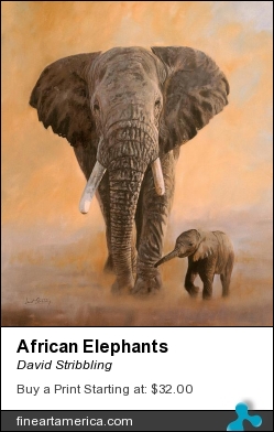 African Elephants by David Stribbling - Painting - Oil On Canvas