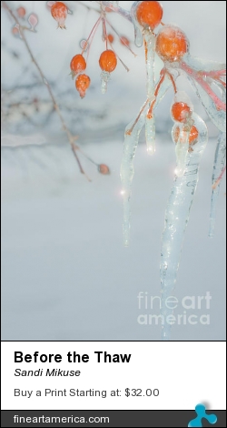 Before The Thaw by Sandi Mikuse - Photograph - Photograph