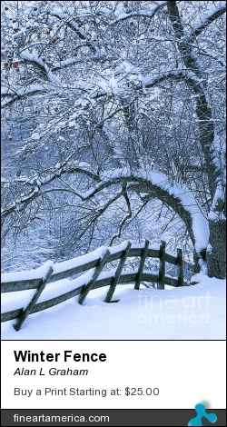 Winter Fence by Alan L Graham - Photograph - Photography