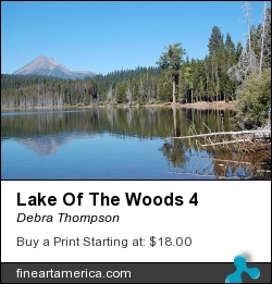 Lake Of The Woods 4 by Debra Thompson - Photograph - Photography