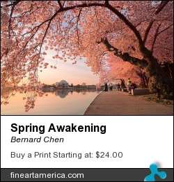 Spring Awakening by Bernard Chen - Photograph