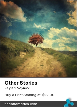 Other Stories by Taylan Soyturk - Photograph - Photographs