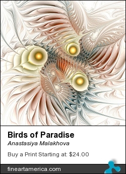 Birds of Paradise by Anastasiya Malakhova - fractal art