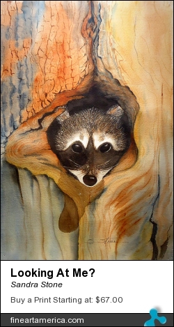 Looking At Me? by Sandra Stone - Painting - Watercolor