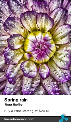 Spring Rain by Todd Bielby - Photograph - Photography
