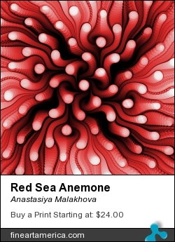 Red Sea Anemone by Anastasiya Malakhova - fractal art