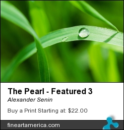 The Pearl - Featured 3 by Alexander Senin - Photograph