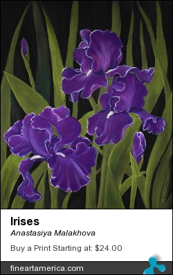 Irises by Anastasiya Malakhova - pastels on paper