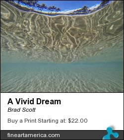 A Vivid Dream by Brad Scott - Photograph - Photography