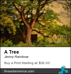 A Tree by Jenny Rainbow - Photograph - Photography