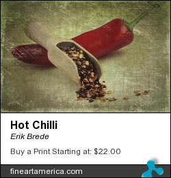 Hot Chilli by Erik Brede - Photograph - Photograph