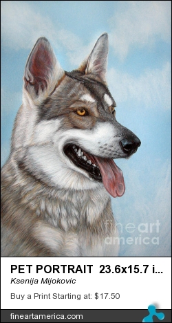 Pet Portrait 23.6x15.7 In Tamaskan Wolfdog by Ksenija Mijokovic - Painting - Pastels