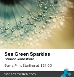 Sea Green Sparkles by Sharon Johnstone - Photograph - Photography