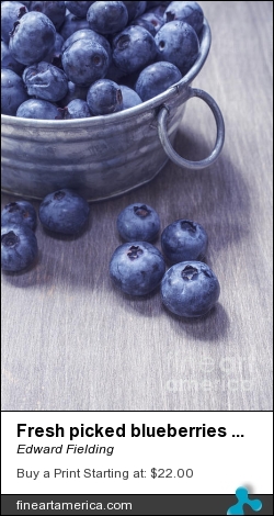 Fresh Picked Blueberries With Vintage Feel by Edward Fielding - Photograph