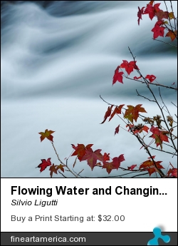 Flowing Water And Changing Leaves by Silvio Ligutti - Photograph - Photography