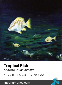 Tropical Fish by Anastasiya Malakhova - acrylic on canvas