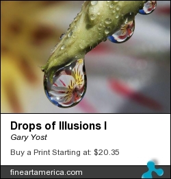 Drops Of Illusions I by Gary Yost - Photograph - Prints